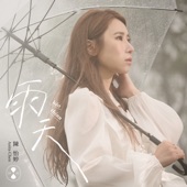 雨天 (三立戲劇《戲說台灣》片頭曲) artwork