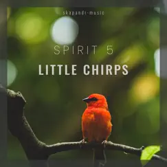 Little Chirps by Spirit 5 album reviews, ratings, credits