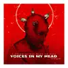 Voices in My Head song lyrics