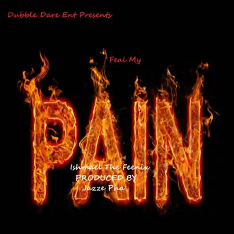 Feel My Pain by Dubble Dare Ent, Ishmael The Feenix & Jazze Pha song reviws