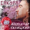 Сакура - Single