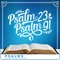 Psalm 23, Psalm 91 (Psalms for Sleep Meditation with Music) artwork