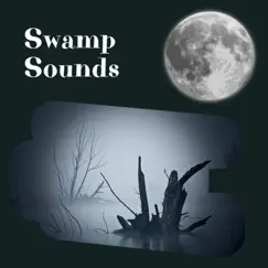 Swamp Sounds - Nighttime Ambience by Forest at Night Sounds, Night Sounds & Night Sounds Channel album reviews, ratings, credits