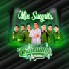 Mix Suegrita - Single