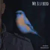 Mr Bluebird - Single album lyrics, reviews, download