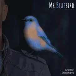 Mr Bluebird Song Lyrics