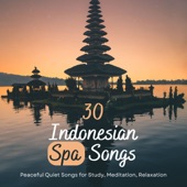 30 Indonesian Spa Songs - Peaceful Quiet Songs for Study, Meditation, Relaxation artwork