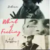 What a Feeling (feat. Lil Traffic & INDICA) - Single album lyrics, reviews, download