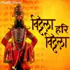 Vitthala Hari Vitthala album lyrics, reviews, download