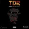 Tdr (feat. Shinzo) - Mr Lourd lyrics