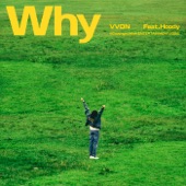 Why (feat. Hoody) artwork