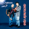 Torcaza, 1999