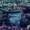 Fairy Houses in the Woods - Single album lyrics, reviews, download