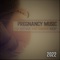 Calming Music Sanctuary - Calm Pregnancy Music Academy lyrics