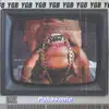 Panasonic - Single album lyrics, reviews, download