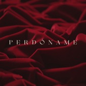 Perdóname (2022) artwork