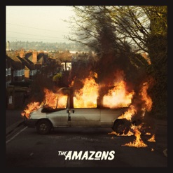 THE AMAZONS cover art