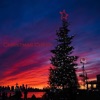 Christmas Cheer - Single