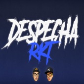 Despecha Rkt (DJ BRAIAN STYLE Remix) artwork