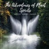 The Adventures of Plant Spirits