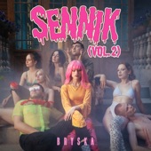 sennik (vol.2) artwork