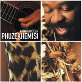 Amakhansela (Live) - Phuzekhemisi