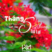 Tháng 5 Không Trở Lại (Lofi) artwork