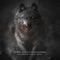 Gorg (feat. Amir Tataloo & Ho3ein) - Reza Pishro lyrics