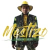 Mestizo