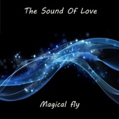 Magical Fly artwork