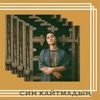 Син кайтмадың - Single