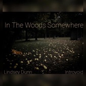 In the Woods Somewhere (feat. Lindsey Dunn) - Single