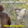 Vida de Vaqueiro