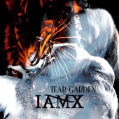 Tear Garden (Without Drums) artwork