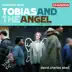 Dove: Tobias and the Angel album cover