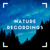 Bird Chirps - Natural Sample Makers, Nature Recordings & Natural Sound Makers