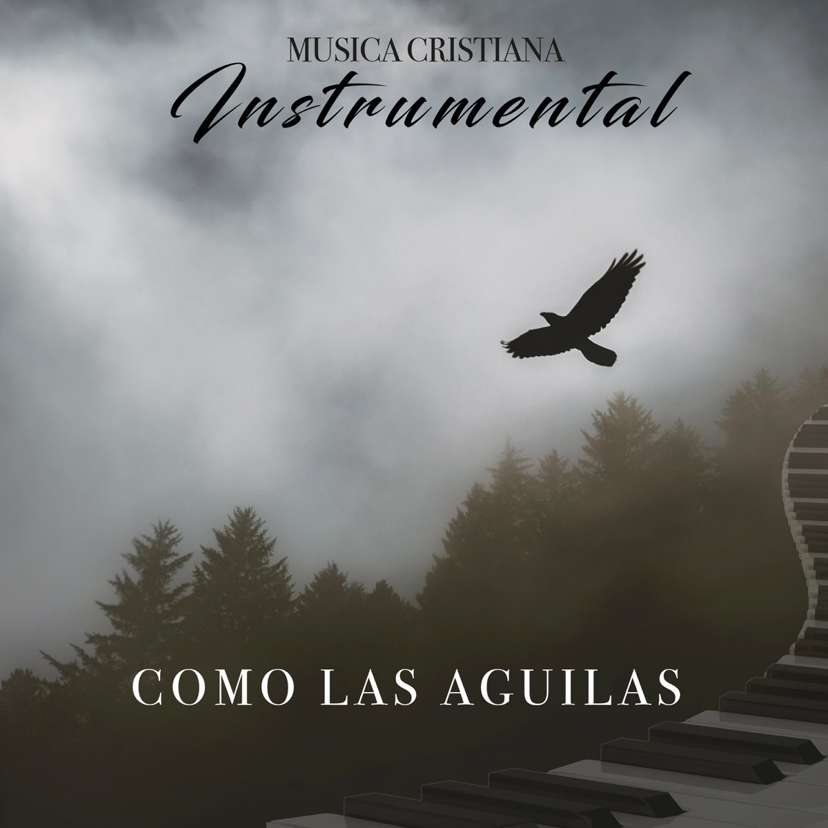 Como Las Aguilas by MUSICA CRISTIANA INSTRUMENTAL on Apple Music
