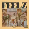In Your Feelz - Single album lyrics, reviews, download