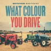 What Colour You Drive - Single