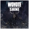 Shine - Single