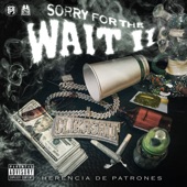 Sorry For The Wait 2 artwork