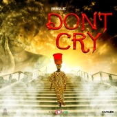 Dont Cry artwork