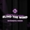 Blind the Wind (Instrumental Version) artwork