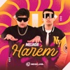 Melhor Harém - Single