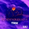 PurpleHeart (feat. Flakko) - Trixx lyrics