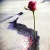 Rose From the Concrete - Single album lyrics, reviews, download