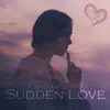 Sudden Love song lyrics