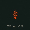 Feel My Love - Single