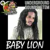 Run the Town (feat. Baby Lion) [Dubplate] - Single album lyrics, reviews, download