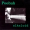 Acceptance - Alkaloid lyrics